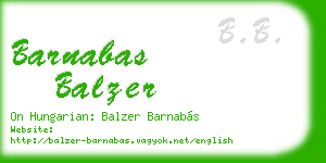 barnabas balzer business card